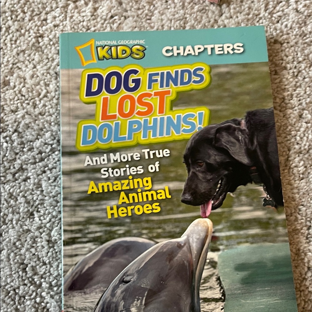 Lot: 4 elementary/middle school books - Picture 8 of 10